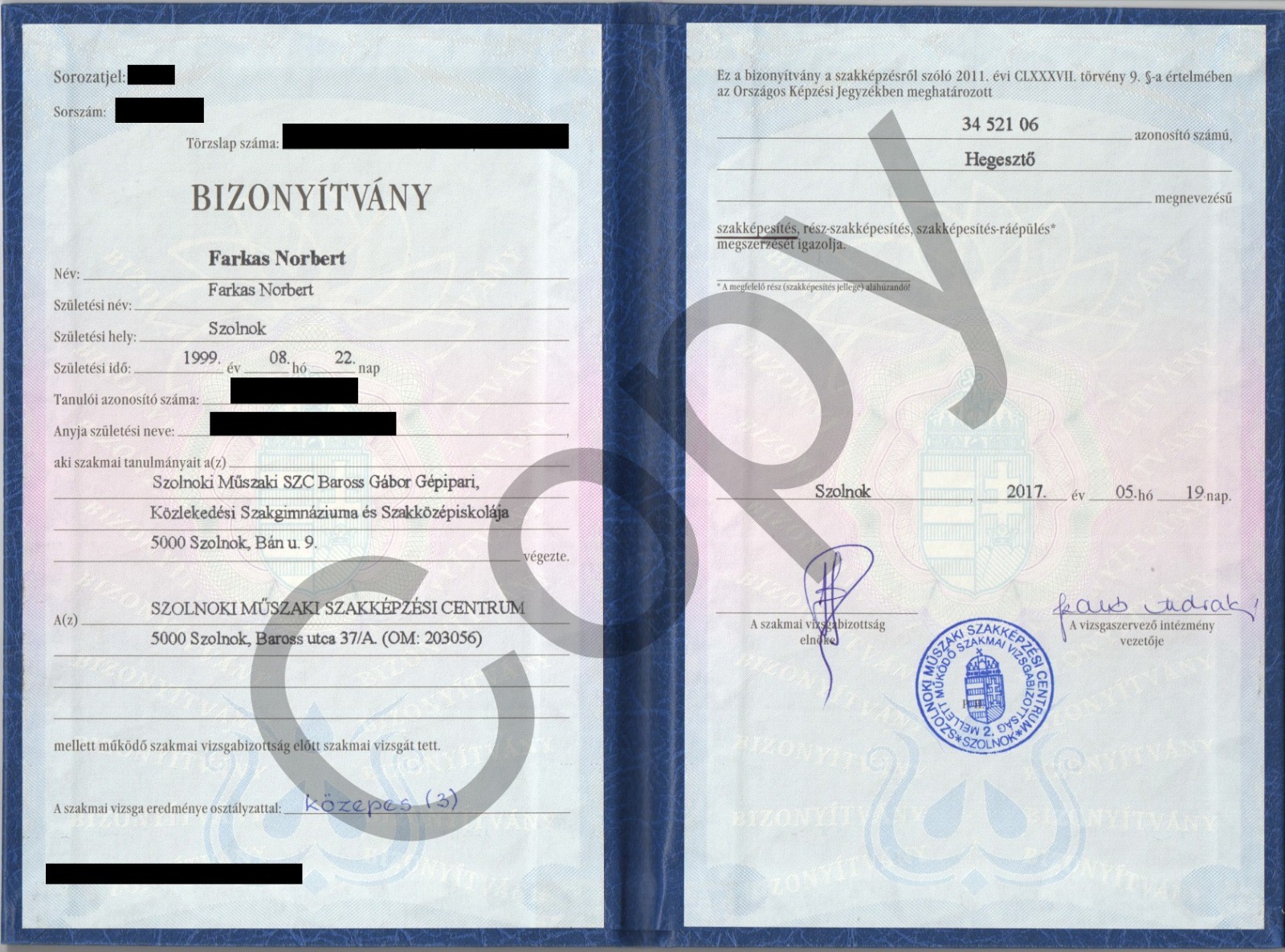 2017 welder diploma